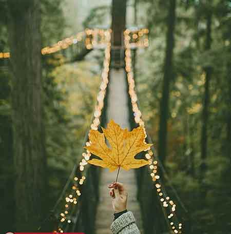 دانلود آهنگ خنجری که خوردم از پشت نمیذاره که بخوابم حسین عامری